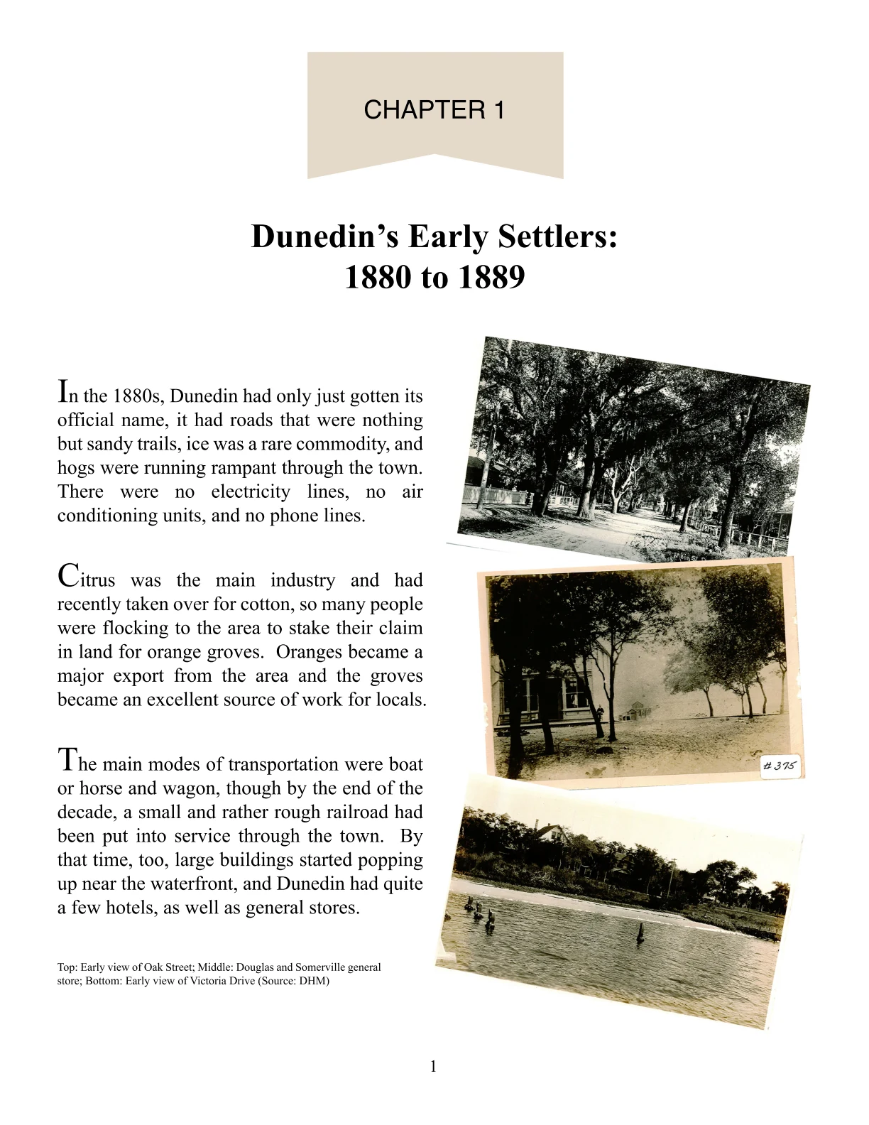 Chapter 1: Dunedin’s Early Settlers