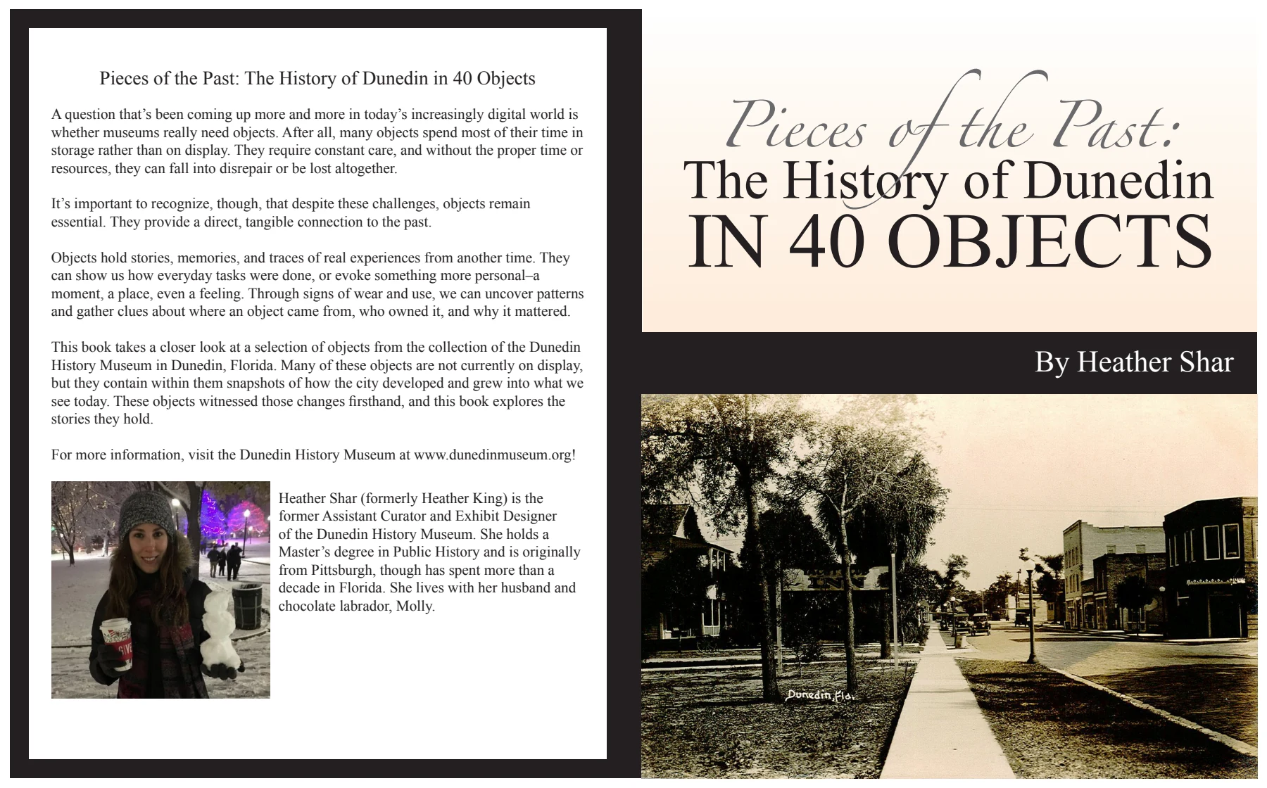Pieces of the Past: full book cover